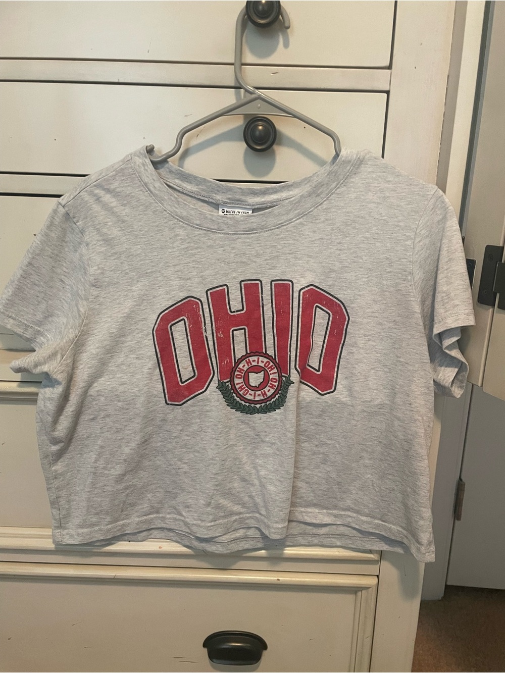 Ohio Graphic Crop Tee - Light Gray with Red Logo
